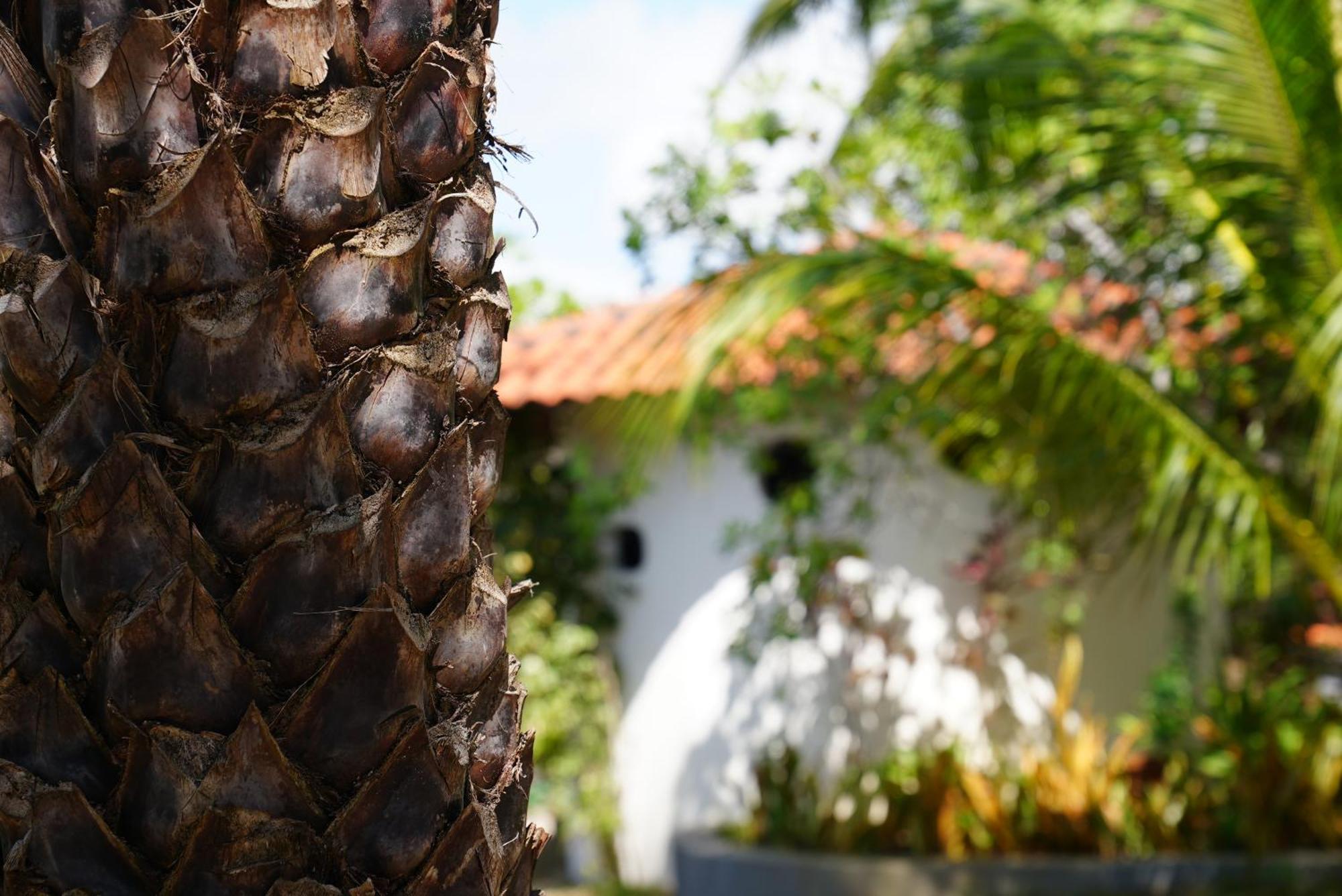 La Ferme De Georges Konuk evi Atins Dış mekan fotoğraf